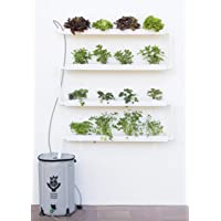 Hidroponía- Huerto Vertical para Cultivo de 16 Plantas- con depósito de 50 litros y riego automático. Bomba y abono…